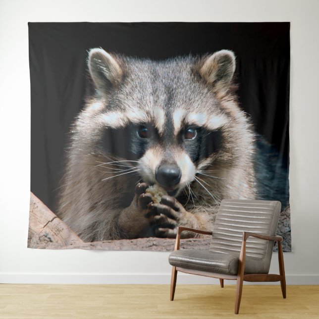 Tapiz Raccoon 004 (In situ (horizontal))
