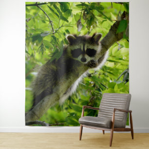 Tapiz Raccoon en el mapache gris mate de árbol verde