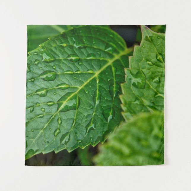 Tapiz Rain raindrop waterdrop leaves wet (Anverso)
