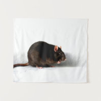 Rat wtcna
