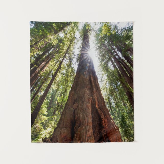 Tapiz Redwoods imponentes (Anverso)