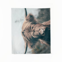 Retrato de vaca Highland