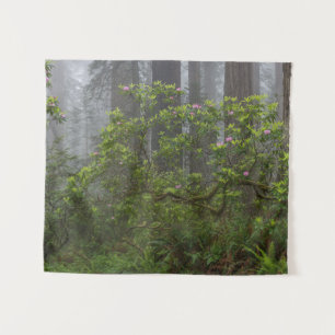 Tapiz Rhododendron en el Parque Nacional Redwood Califor