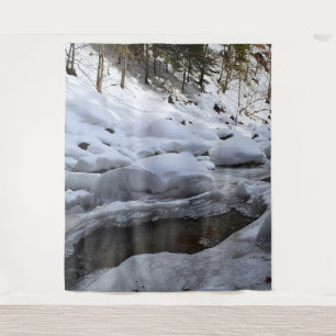 Tapiz Río de montaña invernal – Wild Nature Rumania