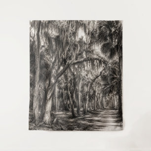 Tapiz Roble Hammock de la vieja Florida Dibujo a grafito