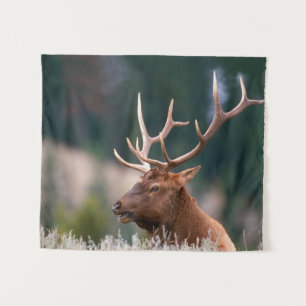 Tapiz Rocky Mountain Elk Yellowstone National Park