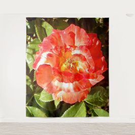 Tapiz Rosa del día soleado.........