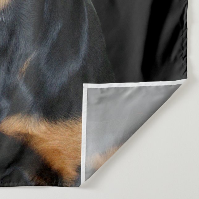 Tapiz Rottweiler (Detalle)