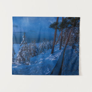 Tapiz Ruta forestal en la noche de invierno
