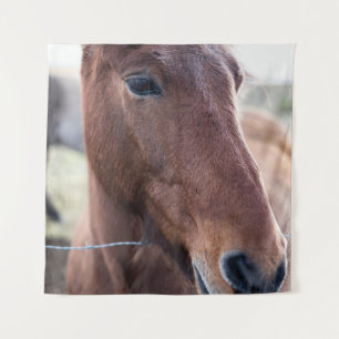 TAPIZ SAD HORSE