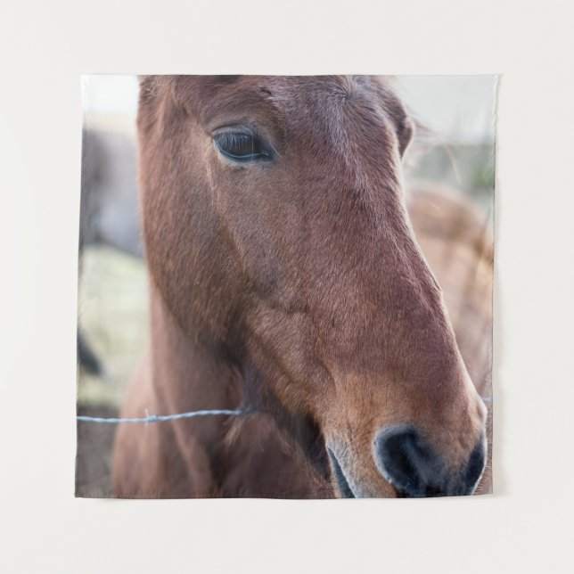 TAPIZ SAD HORSE (Anverso)