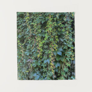 Tapiz Serene Green Ivy Wall Colgando Vinas Plantas