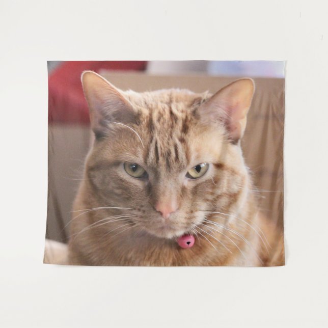 Tapiz Serio (Anverso (horizontal))