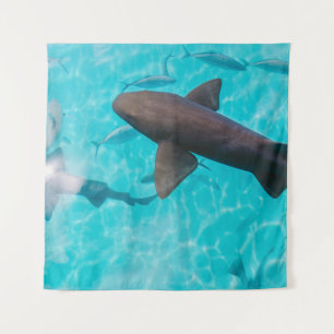 TAPIZ SHARKS ON BODY OF WATER