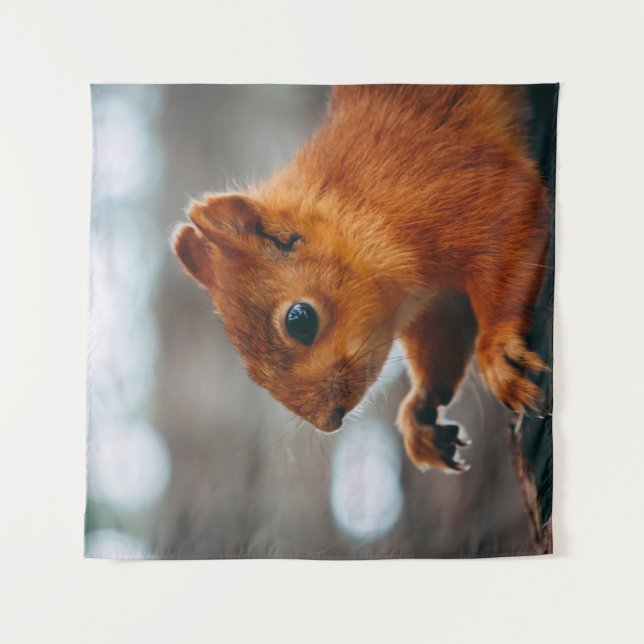 TAPIZ SQUIRREL ON TREE TRUNK (Anverso)