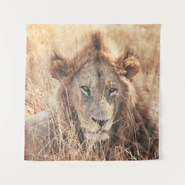 TAPIZ SR. LION KING (Anverso)