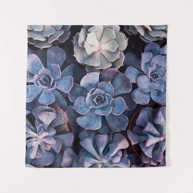 Tapiz Sucultores grises (Anverso)