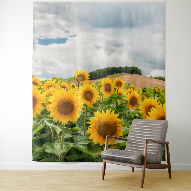 Tapiz Sunflower (In situ)
