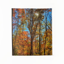 Sunshine a través del bosque otoñal