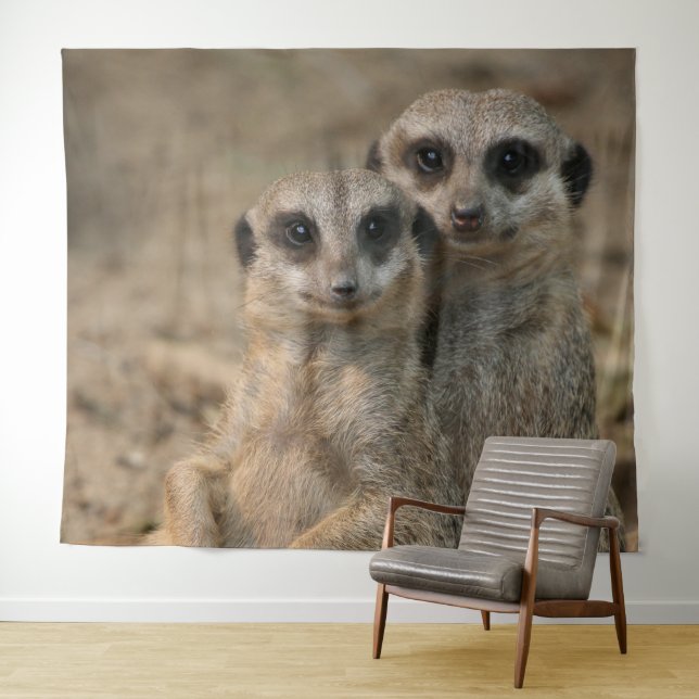 Tapiz Suricata 067 (In situ (horizontal))