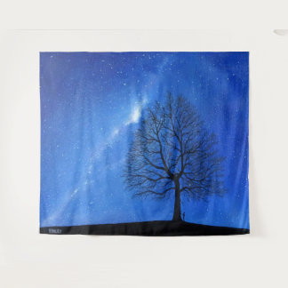 Tapiz Tapestry - The Heavens Declare"