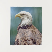 Tapicería de la pared de Eagle calvo