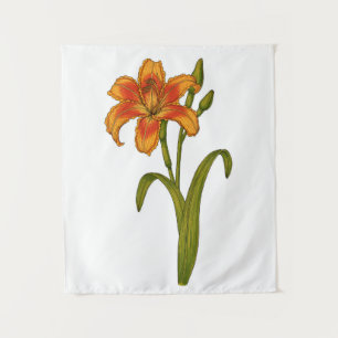Tapiz Tawny daylily