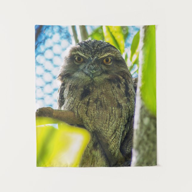 Tapiz Tawny no es búho (Anverso)