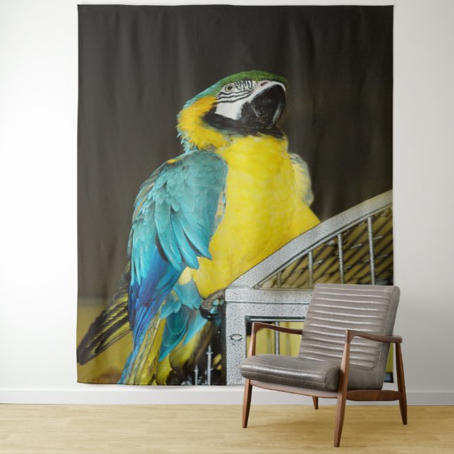 Tapiz Taz... (In situ)