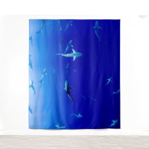 TELÓN DE ESCUELA DE TIBURONES