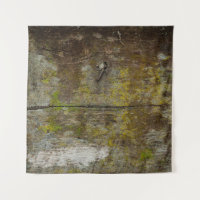 Textura y fondo de musgo verde. abstracto, vivo