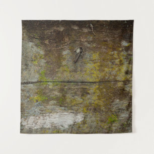 Tapiz Textura y fondo de musgo verde. abstracto, vivo