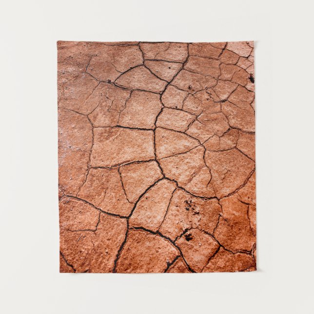 Tapiz Tierra seca (Anverso)