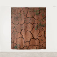 tierra seca y agrietada