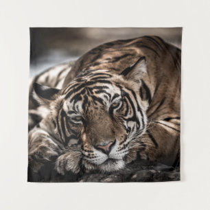 Tapiz Tigre de Ranthambore: arte de primera mano.