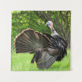 Tapiz Tom Turkey Feather Display