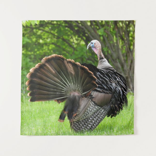 Tapiz Tom Turkey Feather Display (Anverso)
