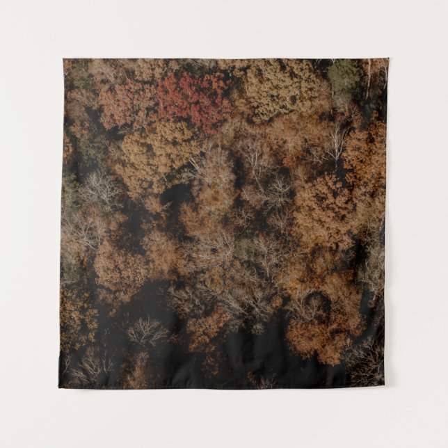 Tapiz Top-view photography of tree (Anverso)