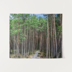 Tapiz Trayectoria de madera en bosque de pinos