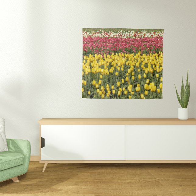 Tapiz Tulipán colorido florece (Subido por el creador)