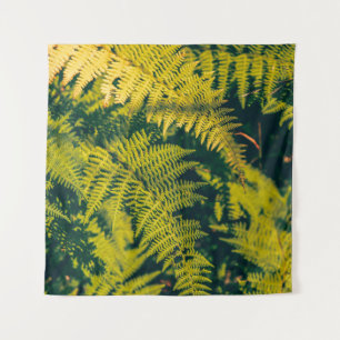 Tapiz Un fondo verde de plantas de helecho con sombras. 