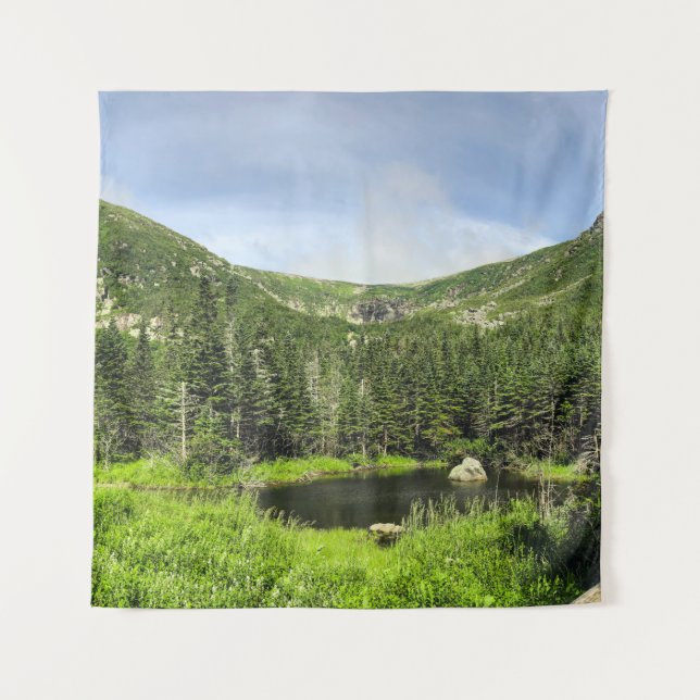 Tapiz Un pequeño estanque en el valle de las montañas (Anverso)
