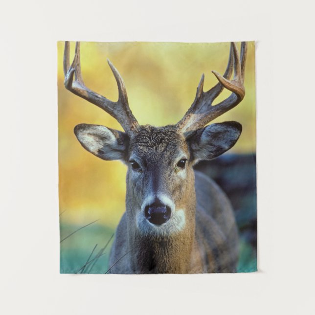 Tapiz Venado de cola blanca | otoño (Anverso)