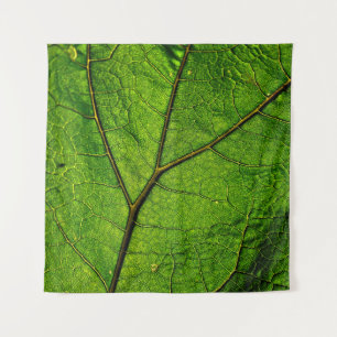Tapiz Venas de hojas de carbunco verde