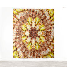 Verano a otoño.....