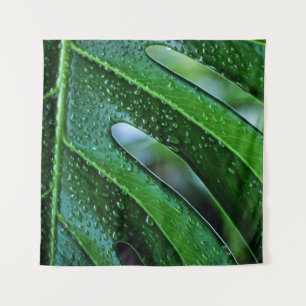 Tapiz verde de hoja de planta de Monstera