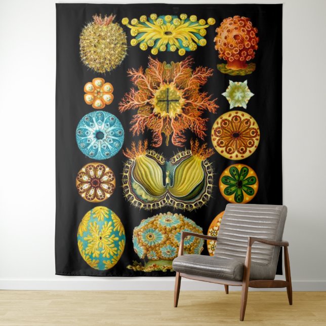 Tapiz vida marina criaturas marinas (In situ)