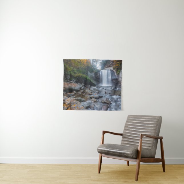 Tapiz Waterfalls | Looking Glass Waterfalls (In situ (horizontal))