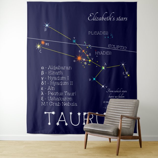 Tapiz Zodiac Constellation Taurus (In situ)