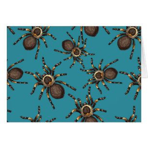 Tarantula azul